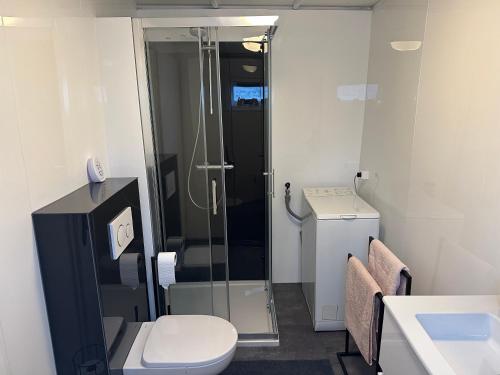 a bathroom with a shower and a toilet at ChaletPool, nabij het Leekstermeer in Matsloot