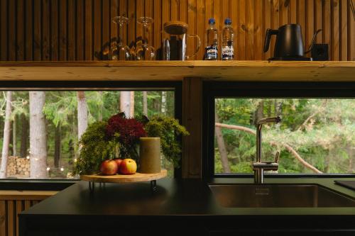 a kitchen with a counter with a sink and a window at Blackview cabin in Kulautuva