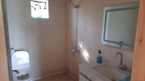 Ένα μπάνιο στο استراحة الباشا albash farm stay