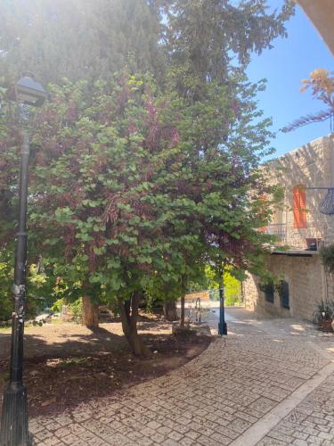 Φωτογραφία από το άλμπουμ του LEAH- botanical villa σε Safed