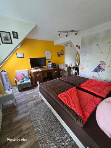 TV a/nebo společenská místnost v ubytování Ferienwohnung am Thingplatz