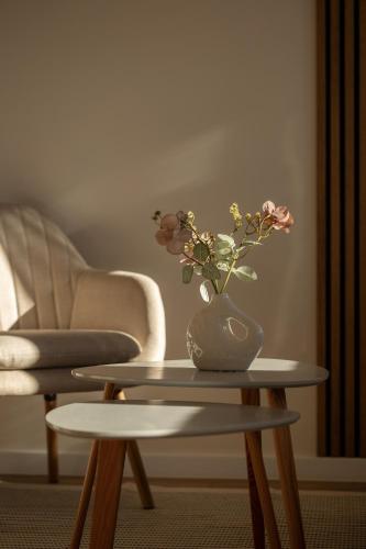 Modern apartment with balcony and free parking