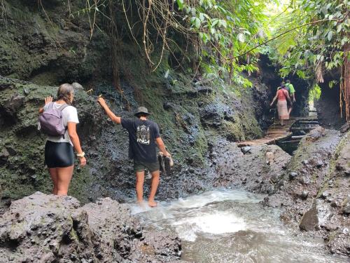 Gasten van Forest Side Bungalow