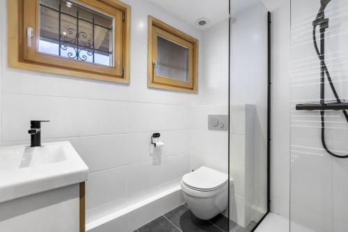 a bathroom with a toilet and a sink and a shower at Silverfox - 6 pers - belle vue in Plan Fey