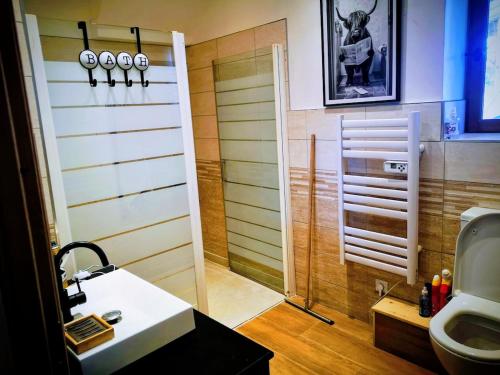 un bagno con doccia, lavandino e WC di Maison Trichard a Brillac