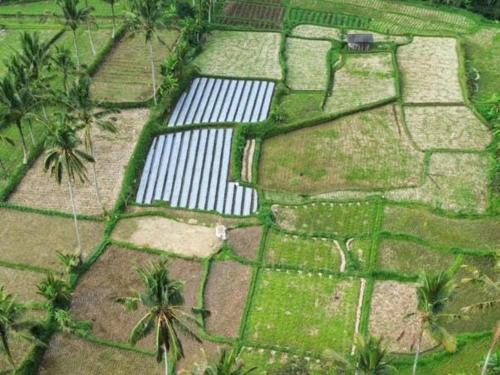 Natuurlandschap vlak bij het pension