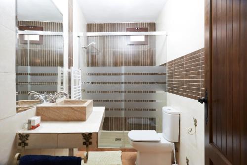 a bathroom with a toilet and a sink at Fuente Los Avellanos in Villanueva del Arzobispo