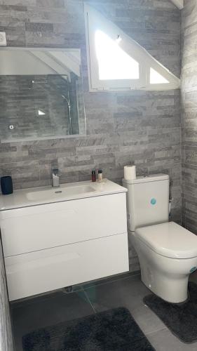 un bagno con un water, un lavandino e una finestra di Villa Outaouais a Bielle