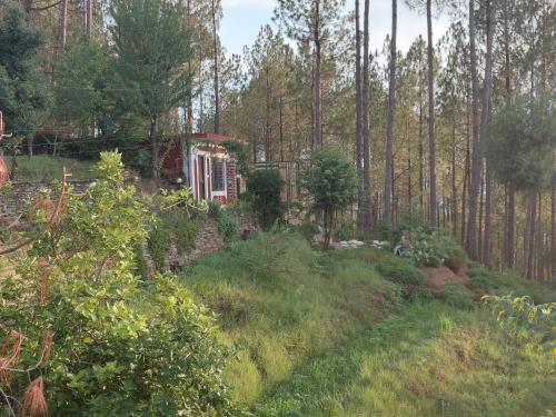 Zahrada ubytování The Heaven Town