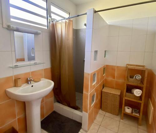 Un baño con lavabo y ducha en Carbet Horizon, en Le Carbet
