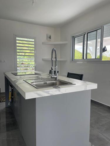 a kitchen with a sink and a counter top at Villa Bel'Horizon in Capesterre