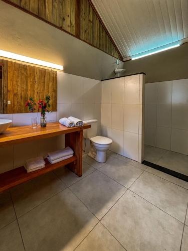 a bathroom with a toilet and a sink at Pousada O Bosque in Joanópolis