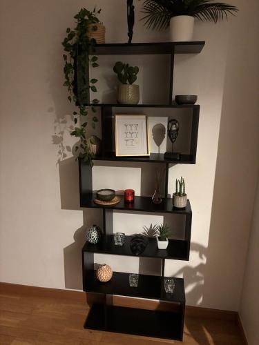 a shelf with plants and potted plants on it at Loft chaleureux avec wifi et terasse in Ceyrat