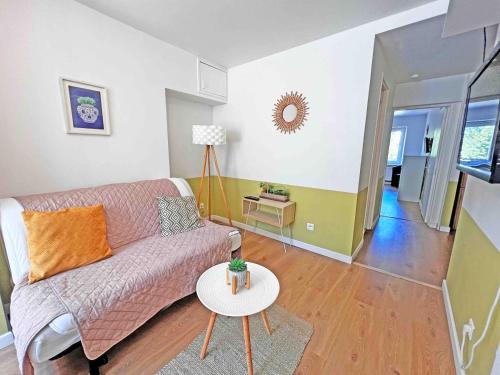 Cosy appartement, Nancy center