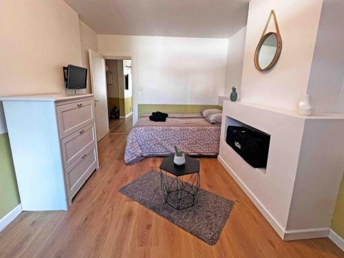 a small bedroom with a bed and a fireplace at Cosy appartement, Nancy center in Nancy