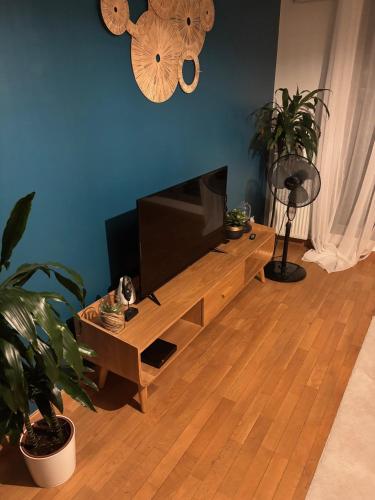 a living room with a television on a table at Loft chaleureux avec wifi et terasse in Ceyrat