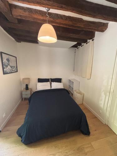 Cosy apartment in le Marais !