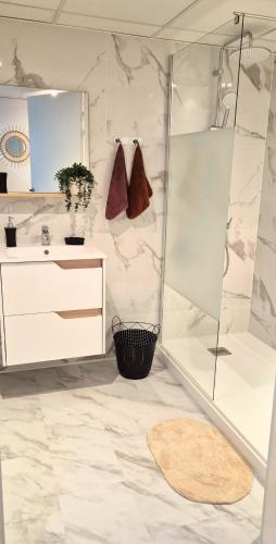 a bathroom with a shower and a sink at L'Ambre - Moderne - Equipé - Douche in Lourdes