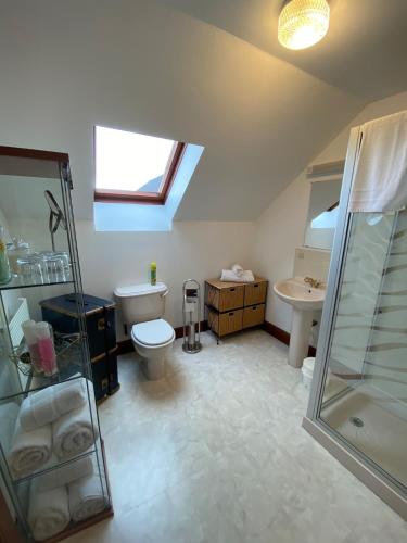 a bathroom with a shower and a toilet and a sink at Abalone Accommodation in Culbokie
