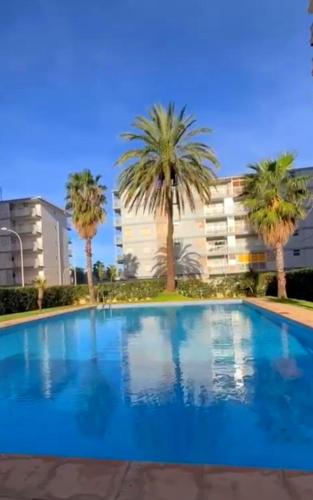 a swimming pool with palm trees in front of a building at Horizonte al Mar in Miramar
