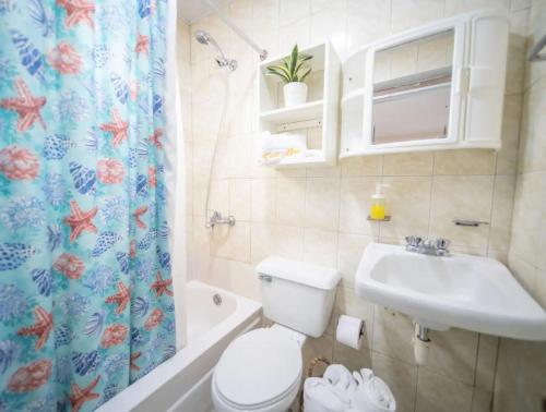 a bathroom with a toilet and a sink and a shower at Fully Equipped 2br Apt-dt5mins To The Beach in Sosúa