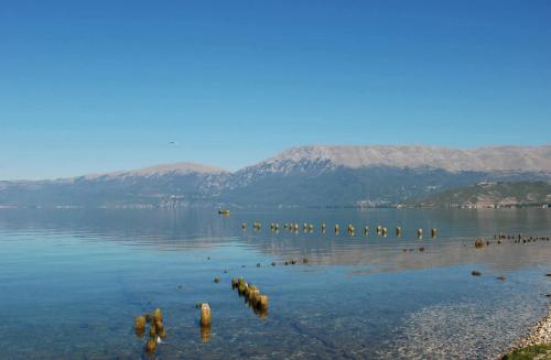 Φυσικό τοπίο κοντά σε αυτό το διαμέρισμα