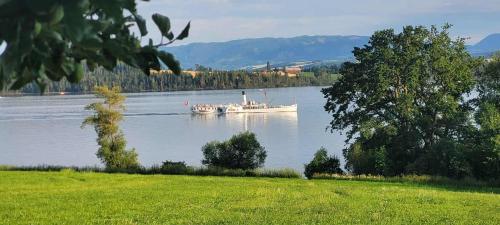 a boat on a lake with trees and a field at Lovely tiny house with a dream view ! 