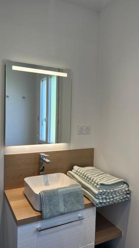une salle de bains avec un lavabo et un miroir dans l'établissement La maison d a cote, à Éguzon-Chantôme