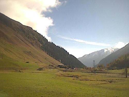 a green field with a mountain in the background at Wohnung Waldeslust In St Sigmund Im Sellrain in Sankt Sigmund im Sellrain