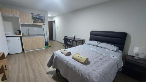 Kuchyň nebo kuchyňský kout v ubytování Elegante monoambiente