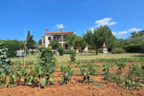 Apartments with parking space Buici, Porec - 24819