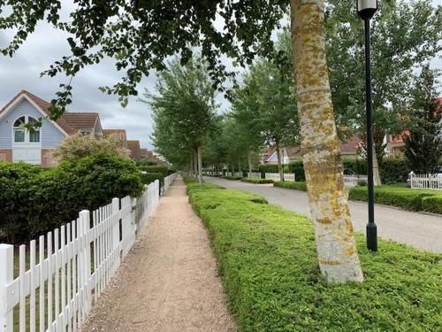 a white fence and a palm tree next to a road at Holidayhouse Noordzee in Kamperland