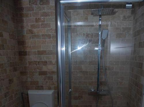 a bathroom with a shower and a toilet in a room at Pensiunea Graniti in Lunca