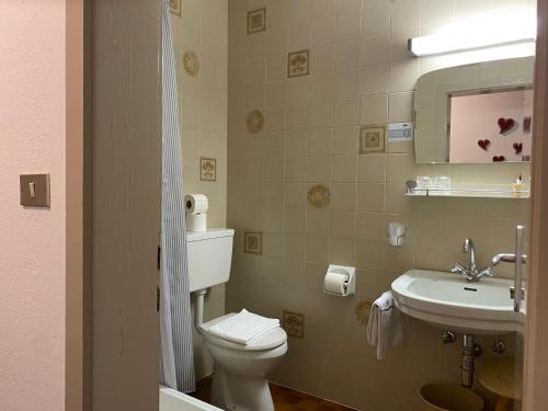 Koupelna v ubytování Ciasa Soreghina