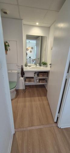 a bathroom with a sink and a toilet and a mirror at L'épure - Clim - Confort - Moderne in Lourdes