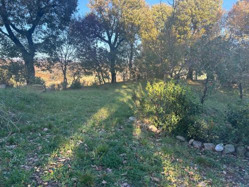 カプレーゼ・ミケランジェロにあるAntica Fieraの木々が茂る草原