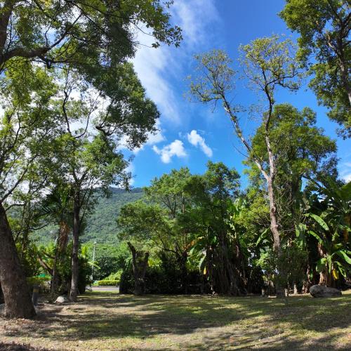a park with trees and a mountain in the background at Shu Hai Cui Hu Homestay in Zhixue