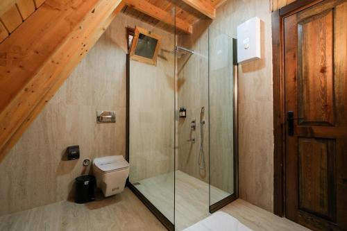 a bathroom with a glass shower with a toilet at Botanik Göl Evleri in Bucak