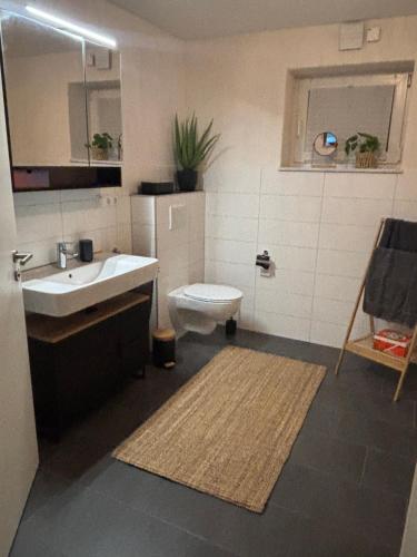 a bathroom with a sink and a toilet at Ferienwohnung Am Sonnenrain in Albshausen
