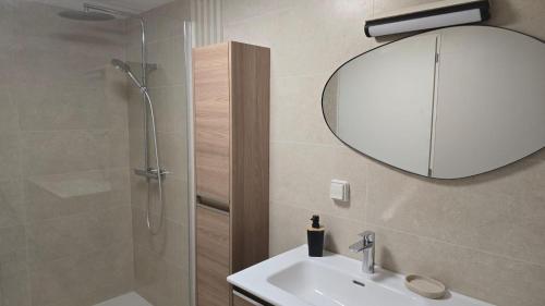 a bathroom with a shower and a sink and a mirror at Le Gite de l'Alambic in Vanzay