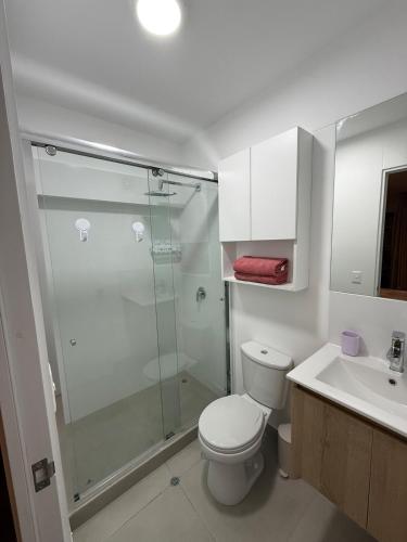 a bathroom with a shower and a toilet and a sink at Apartment in Victoria in Lima