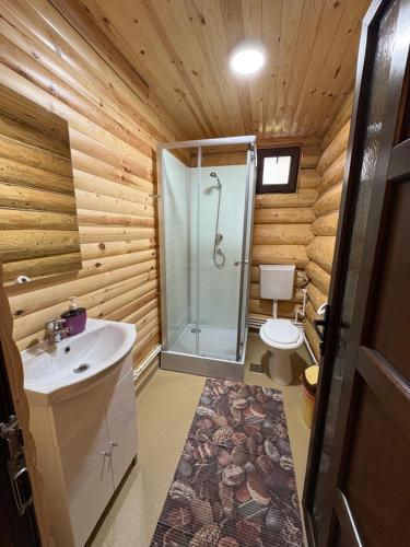 a bathroom with a shower and a sink and a toilet at Cabana Colț De Munte in Ocoale