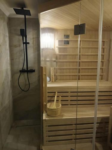 a shower with a glass door in a bathroom at Pensiunea Balta Lazar in Alexandria