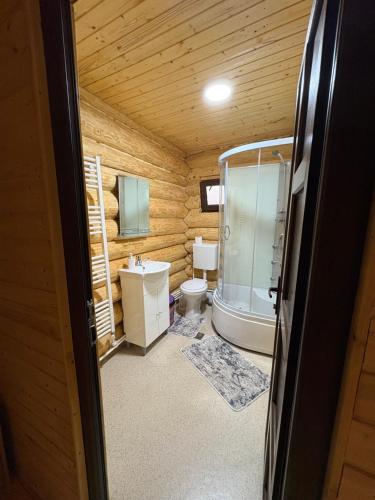 Koupelna v ubytování Cabana Colț De Munte