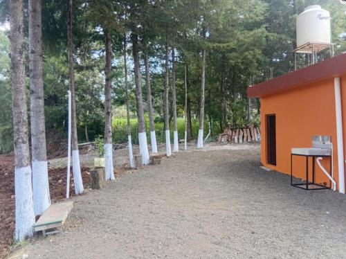 een oranje gebouw met bomen op de achtergrond bij Casa Terral 