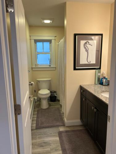 ein Badezimmer mit Toilette und Fenster in der Unterkunft Roberts Lake House Room 2 & Room 3 & Upstairs in Colchester