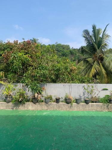 a row of potted plants on a concrete wall at Villa Unawatuna in Unawatuna