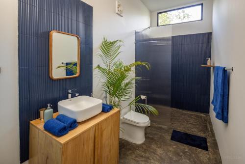 a bathroom with a sink and a toilet and a mirror at Jaali Blue in Canacona