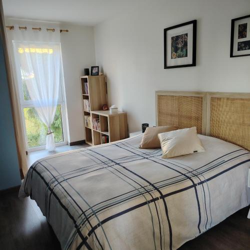 a bedroom with a large bed with a window at Au Chat l'Heureux in Mackenheim