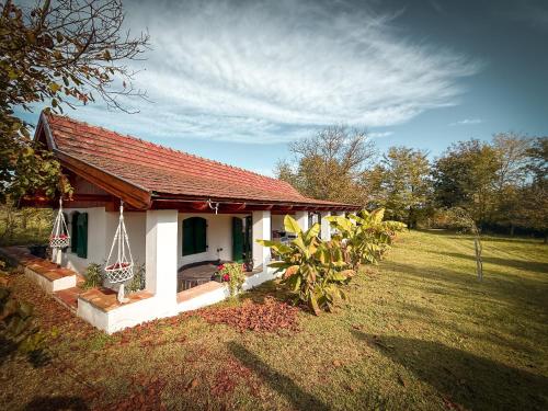 Zahrada ubytování Vályog Kuckó